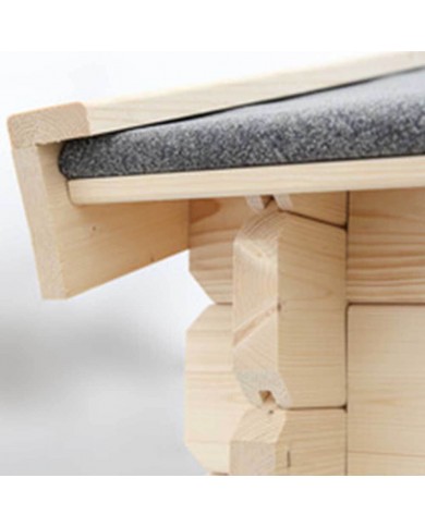 Abris de jardin 2,98m X 2,98m