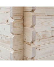 Abris de jardin 2,98m X 2,98m