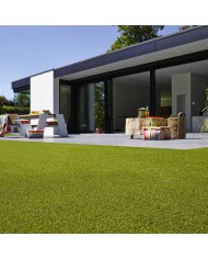 Echantillon Gazon synthétique Evergreen