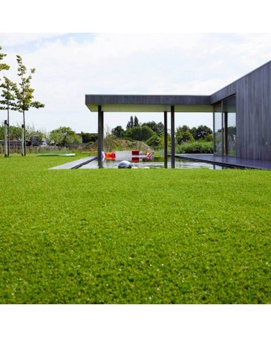 Gazon synthétique Pine Valley 2mX2m (h:40mm)