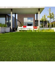 Gazon synthétique Pine Valley 2mX2m (h:40mm)