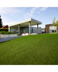 Gazon synthétique Pine Valley 2mX2m (h:40mm)