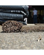 Brande de bruyère ecolo 50% occultation 1,5mX5m