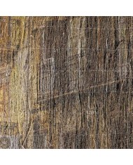 Brande de bruyère ecolo 50% occultation 1,5mX5m