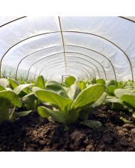 Film polyéthylène pour serre 3 saisons 7m