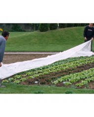 Voile d'hivernage 10,50mX250m (30g/m²) Voile d'hivernage 10,50mX250m (30g/m²)