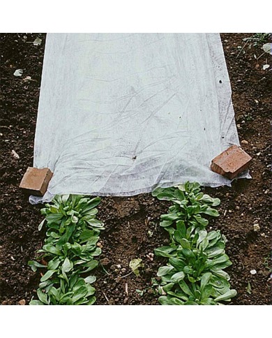 Voile d'hivernage 8,50mX250m (30g/m²) Voile d'hivernage 8,50mX250m (30g/m²)