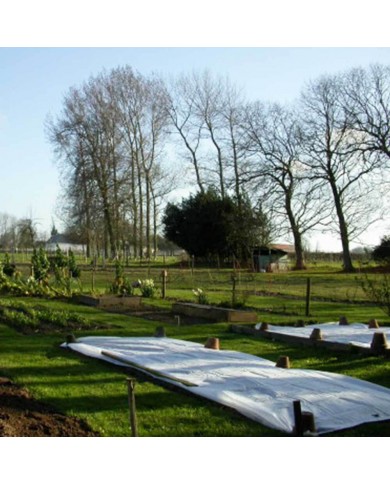 Voile de forçage 2.10 m X 250m (17g/m²) Voile de forçage 2.10 m X 250m (17g/m²)