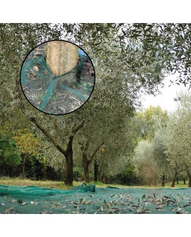 Filet de récolte 6mX8m Filet de récolte 6mX8m