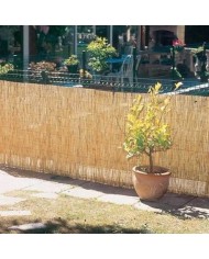 Canisse roseau 1,5mX5m