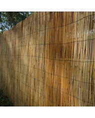 Canisse roseau 1,5mX5m