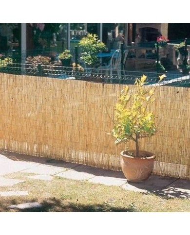 Brise vue naturel canisse bambou fin pas cher de 2mX5m