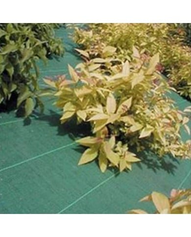Toile de paillage verte 2,10mX100m (90g/m²) Toile de paillage verte 2,10mX100m (90g/m²)