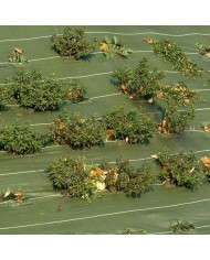 Toile de paillage verte 1,65mX100m (90g/m²) Toile de paillage verte 1,65mX100m (90g/m²)