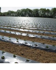 Film de paillage bio 15 MY 1,4X1500m