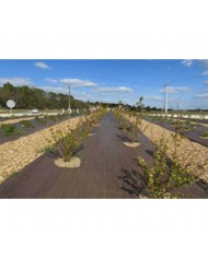 Toile de paillage marron 1,05mX100m (130g/m²) Toile de paillage marron 1,05mX100m (130g/m²)