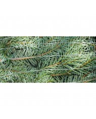 Filet à sapin 55cmx1500ml