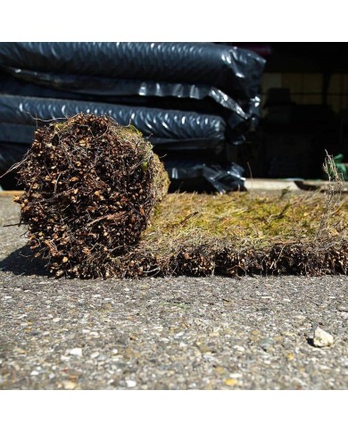 Brande de bruyère 100% occultante 1,80mX3m Brande de bruyère 100% occultante 1,80mX3m