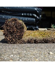 Brande de bruyère 100% occultante 2mX3m