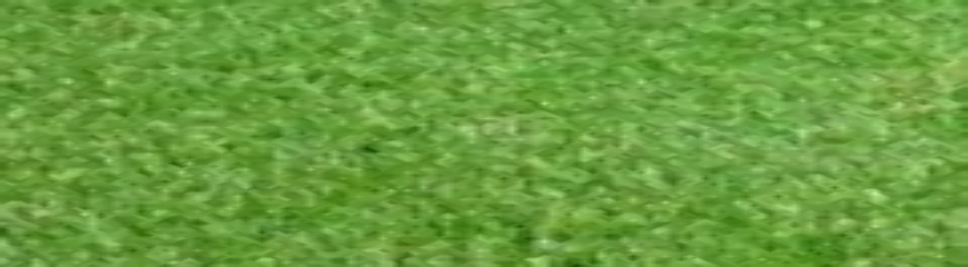 Echantillon gazon synthétique