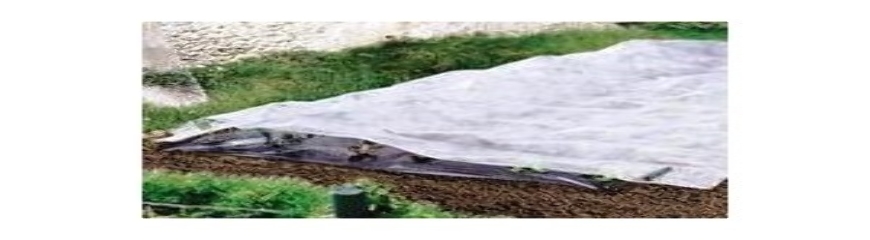 Voile Horticole Non-tissé 2x10 M - 35 G/m² - Protection Contre Gel, Insectes Et UV - Pour Serre, Potager, Plantes