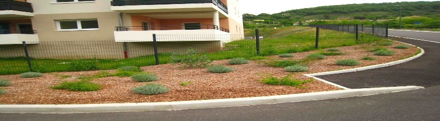 Paillage décoratif écologique