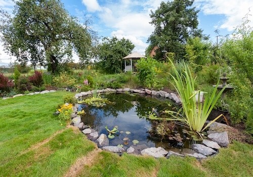 Comment installer un bassin de jardin ?