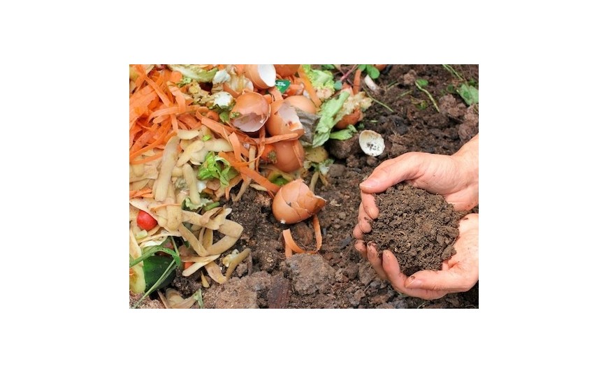 5 conseils pour réussir votre compost